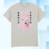 Bingo Merch Store Sonic Youth Dirty Bunny Ice Grey T-Shirt